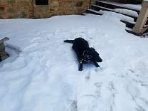 20200314_06agatecentralcitysnow.jpg