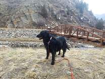 20200314_15agateclearcreekmayhemgulch.jpg