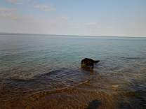 20130815_181838.jpg