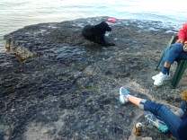 20130815_192641.jpg