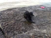 20130815_192744.jpg