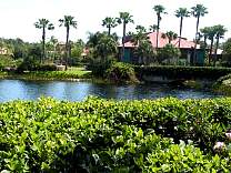 pict0428.jpg