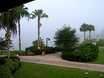 pict0444.jpg