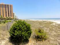 09walkdownboardwalk.jpg