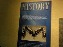 dsc02982.jpg