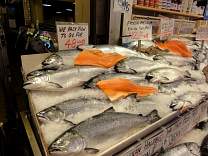 28morefish.jpg