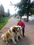 44dogssunpantrygreenmountain.jpg