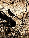 20220501_131640.jpg