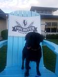 0201foxriverbrewery.jpg