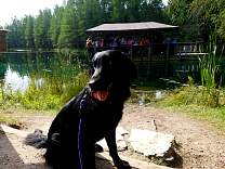 0401kitchitikipi.jpg