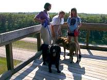 lake-superior-2002/0102laketopinabeerestarea.jpg