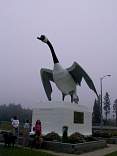 0201wawagooseh.jpg