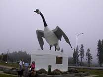0202wawagoose.jpg