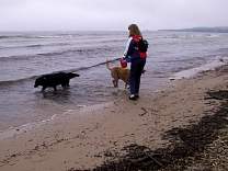 0205onbeachneys.jpg