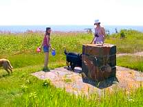 0601cccdrinkingfountain.jpg