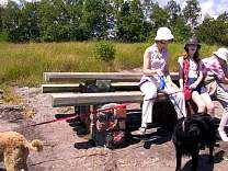 0603ccctableswinginglegs.jpg