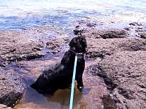 lake-superior-2002/0604pennyonlakesuperiorshore.jpg