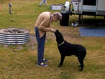 0106grneighbordogindlake.jpg