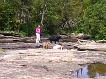 lake-superior-2003/0219hwy17lunchrapids.jpg