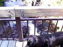 lake-superior-2003/0703rainbowfalls.jpg