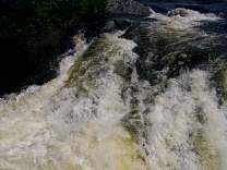 0201chutes.jpg