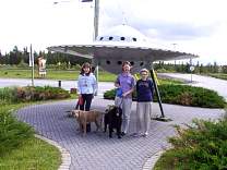 0305saucermoonbeam1.jpg