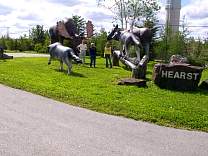 0309hearstmoose3.jpg