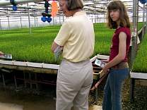 0404moreolderseedlings.jpg