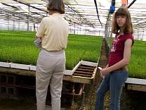 0405moreloderseedlings.jpg
