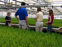0406greenhousewithworker.jpg