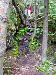 0506neyslookouttrailv.jpg
