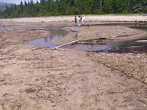 0904neyshike.jpg