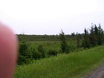 0204moose.jpg