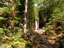 A rocky path