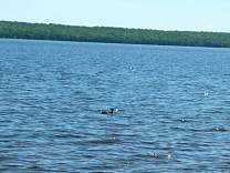 0253lakegogebic3.jpg