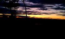 image0262.jpg