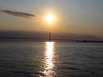 dsc02514.jpg