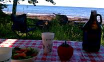 image0530.jpg