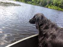 01tahqfallsrowboat.jpg