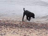 0702agatebeach.jpg