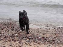0703agatebeach.jpg