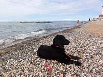 0806agatebeach.jpg