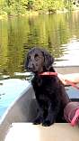 0901tahquamenonboatride.jpg