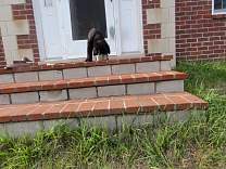 1010home.jpg