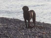 0223agatebeach.jpg