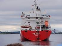 0421hhlamur.jpg