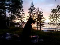 0770sunsetbaycampsite.jpg