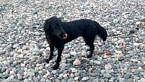 2018062807_agatebeach.jpg