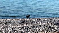 2018062902_agatebeach.jpg