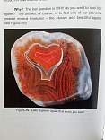 2018063001_whyagate.jpg